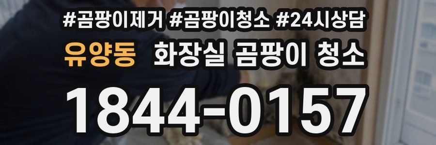 유양동 화장실 곰팡이 청소
