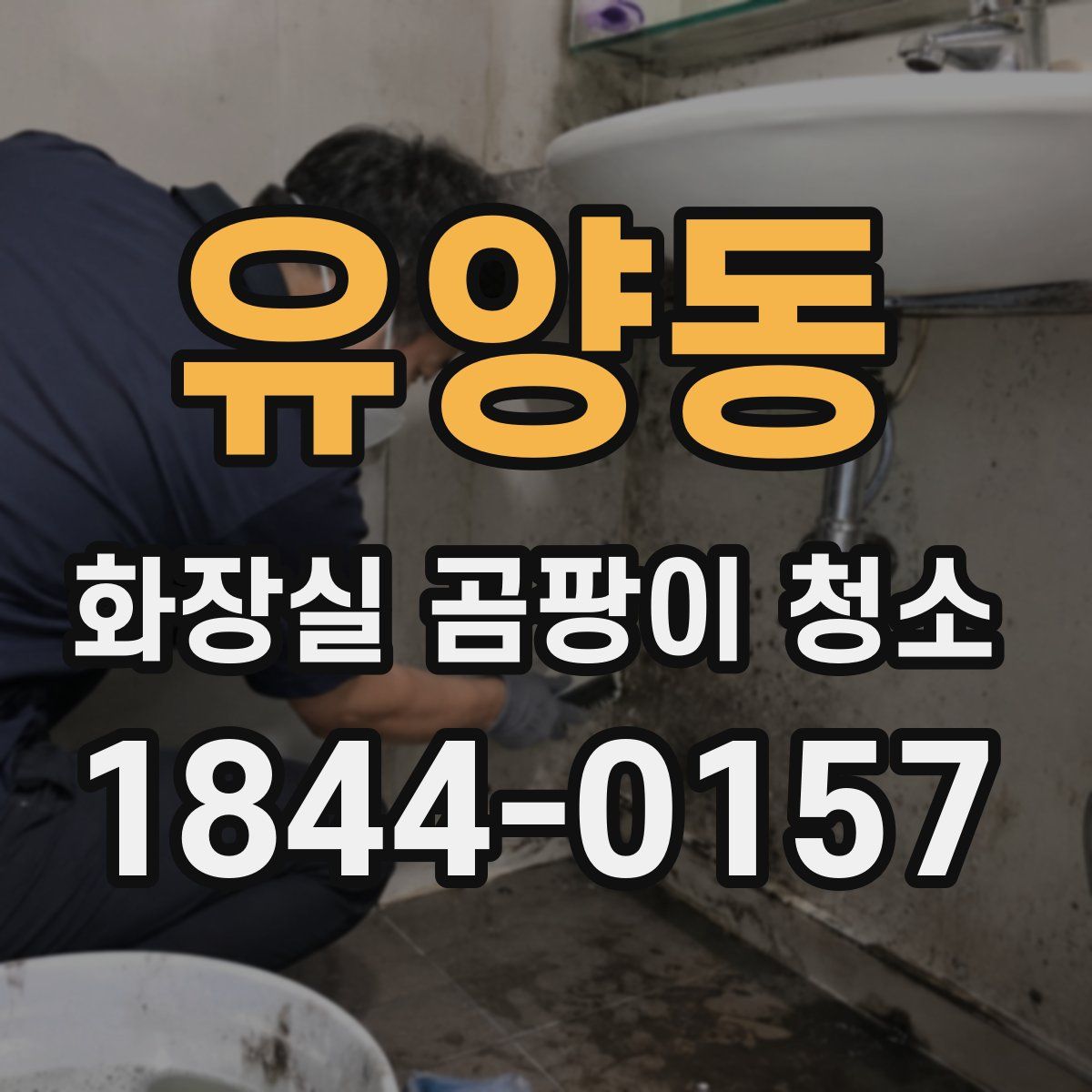 유양동 화장실 곰팡이 청소