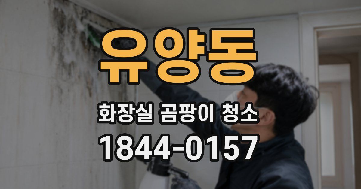 유양동 화장실 곰팡이 청소