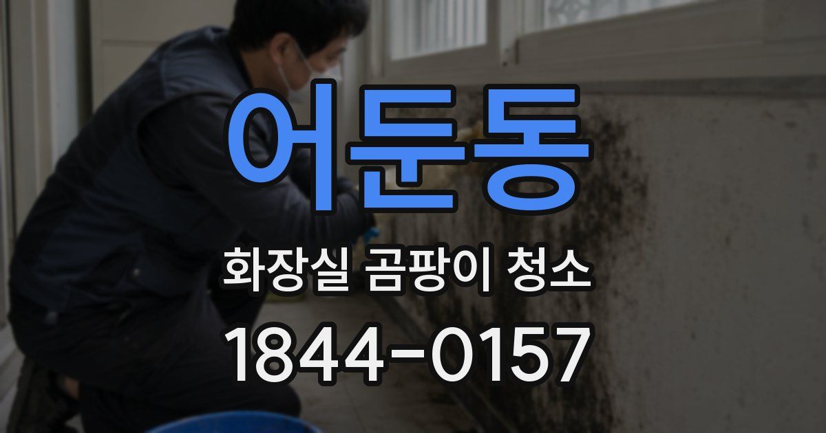 어둔동 화장실 곰팡이 청소