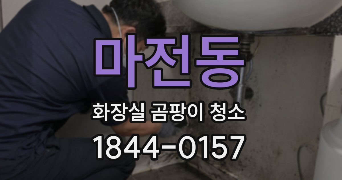 마전동 화장실 곰팡이 청소