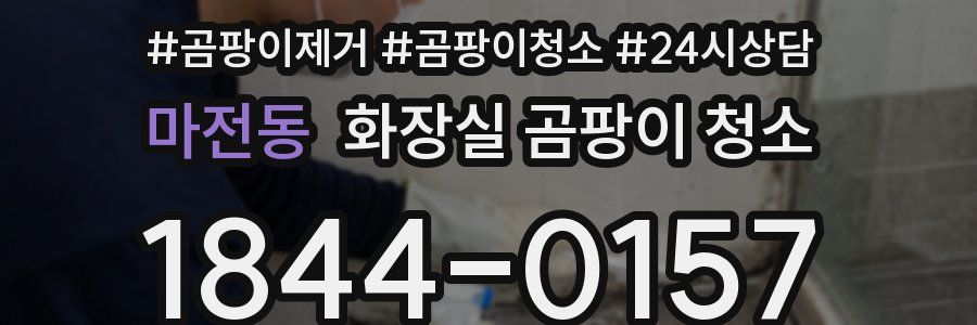 마전동 화장실 곰팡이 청소