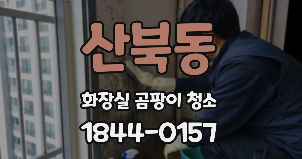 산북동 화장실 곰팡이 청소