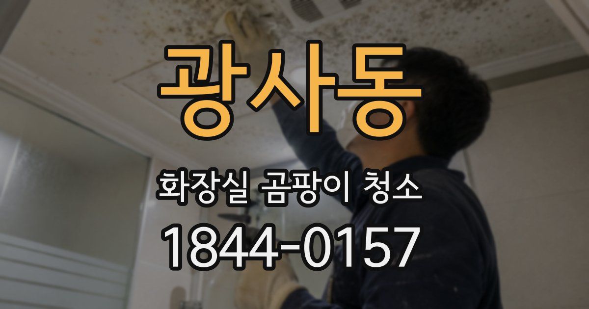 광사동 화장실 곰팡이 청소