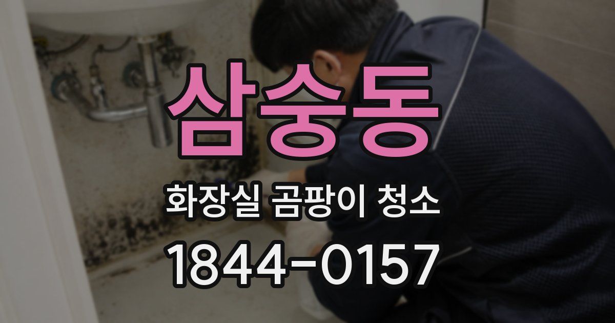 삼숭동 화장실 곰팡이 청소