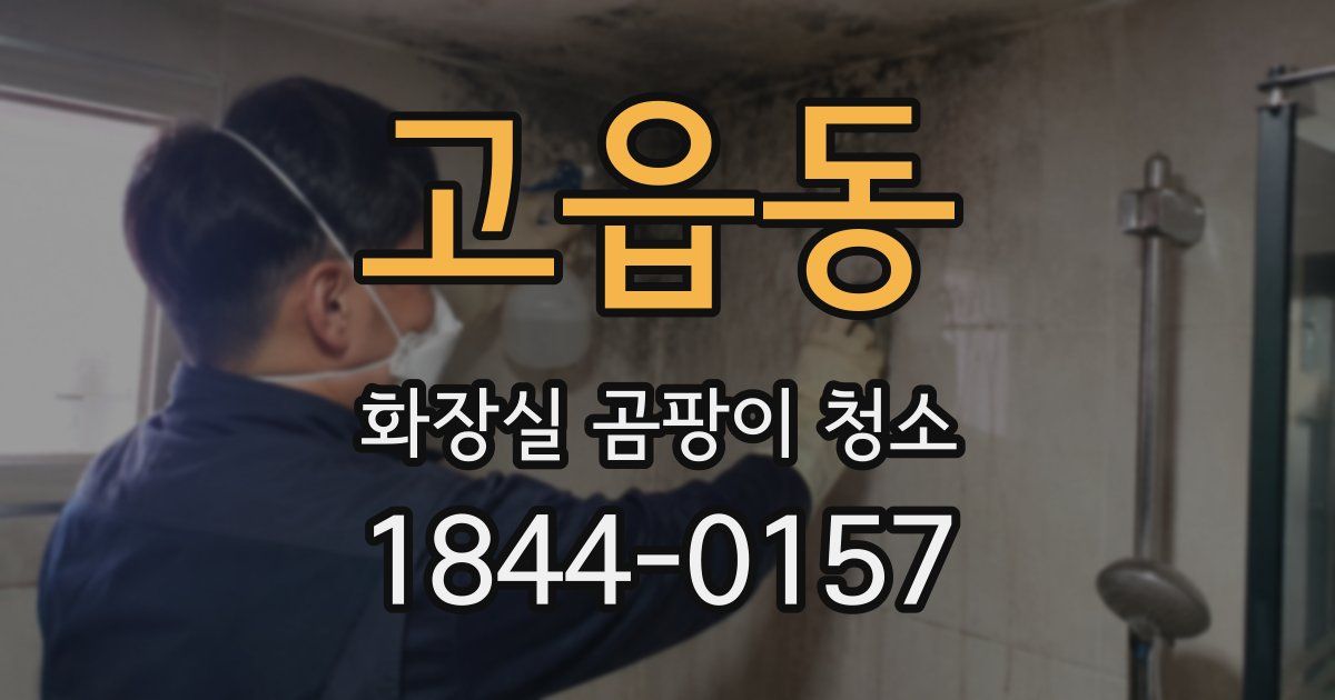 고읍동 화장실 곰팡이 청소