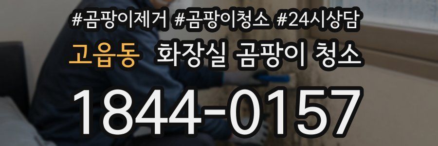 고읍동 화장실 곰팡이 청소