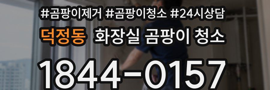 덕정동 화장실 곰팡이 청소
