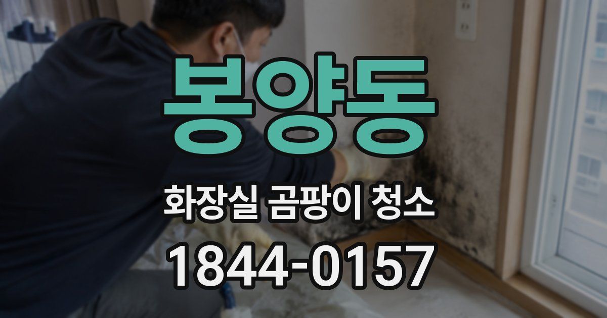 봉양동 화장실 곰팡이 청소