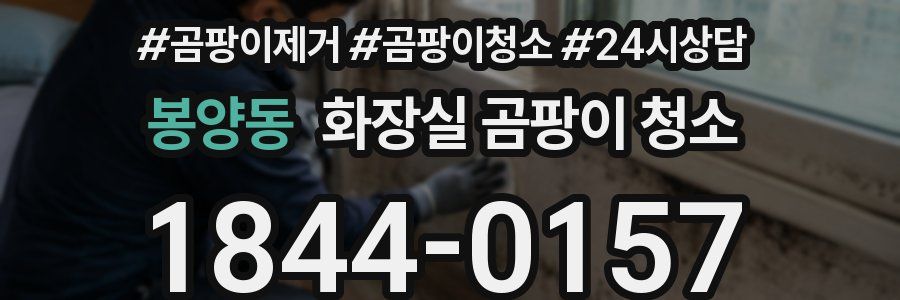 봉양동 화장실 곰팡이 청소