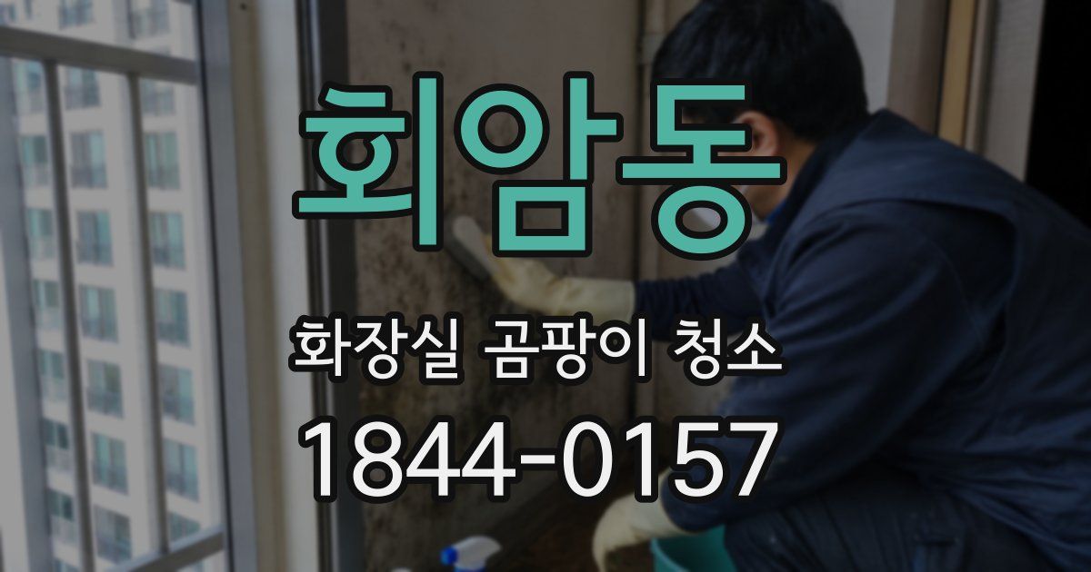 회암동 화장실 곰팡이 청소