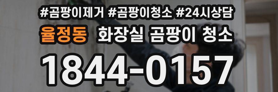 율정동 화장실 곰팡이 청소