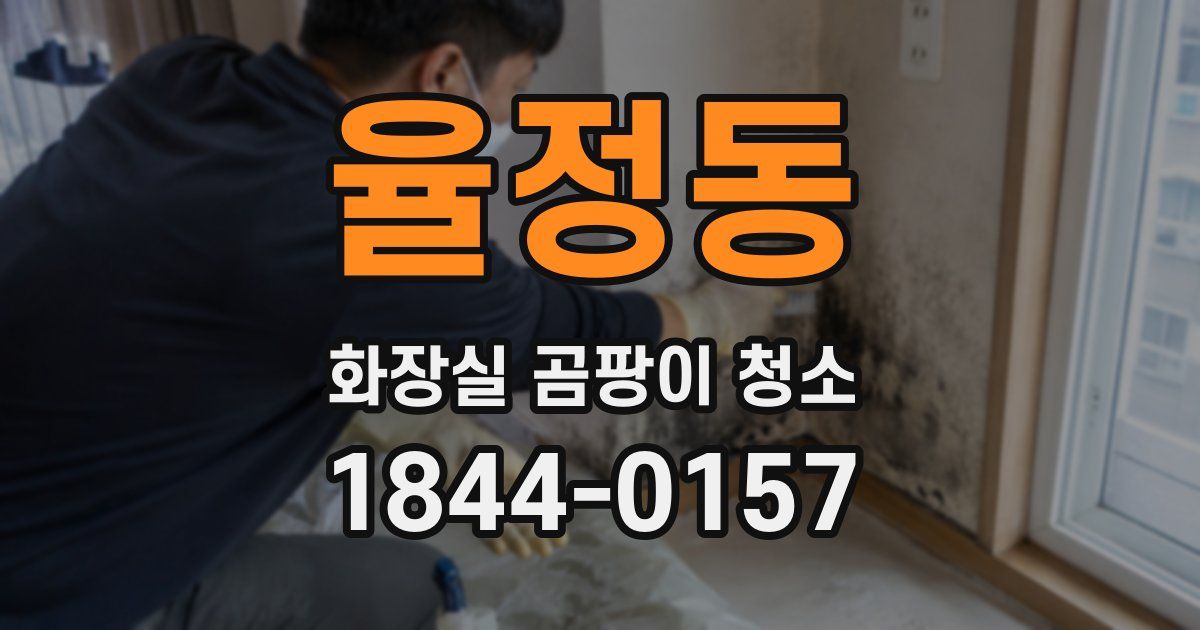 율정동 화장실 곰팡이 청소