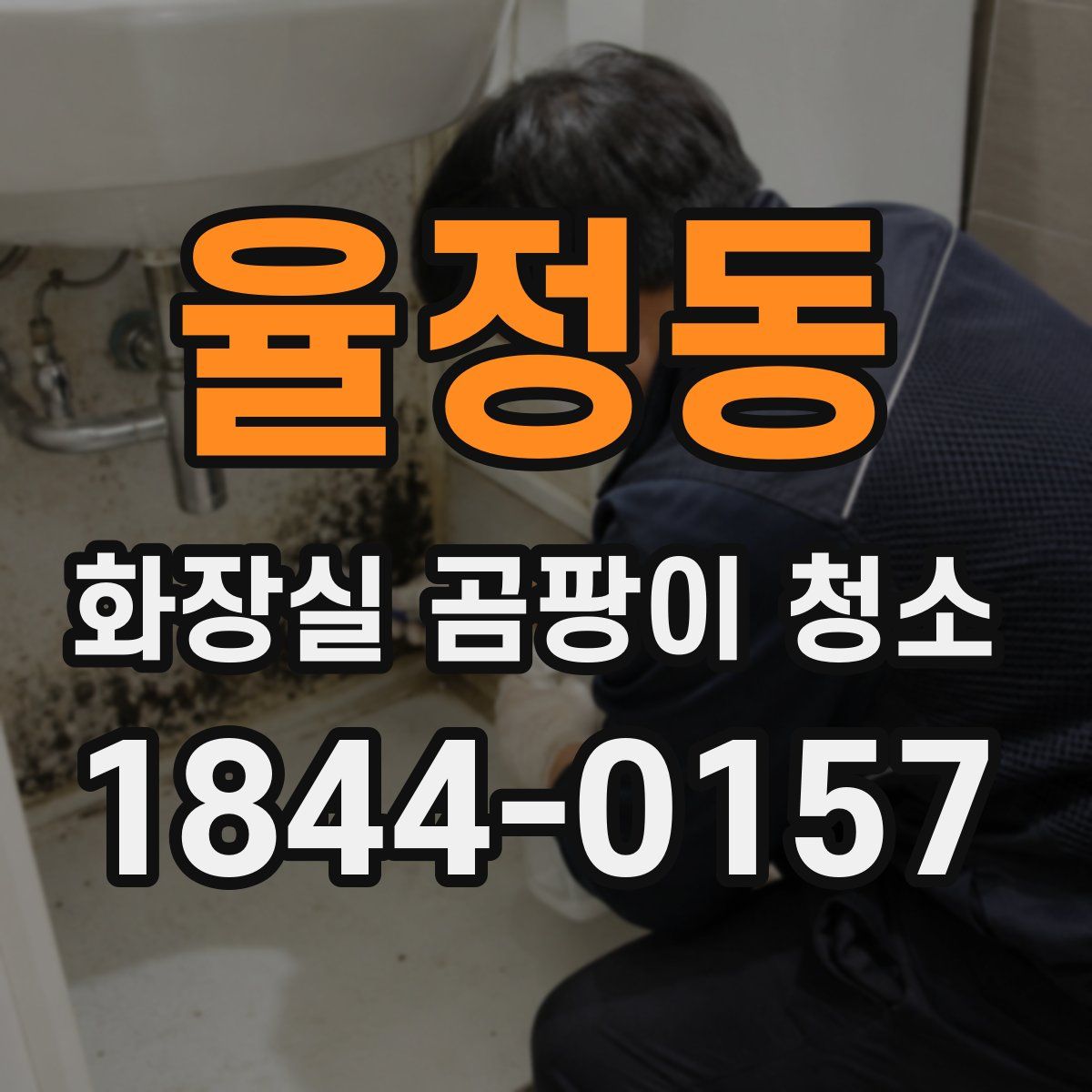 율정동 화장실 곰팡이 청소