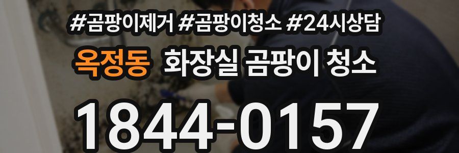 옥정동 화장실 곰팡이 청소