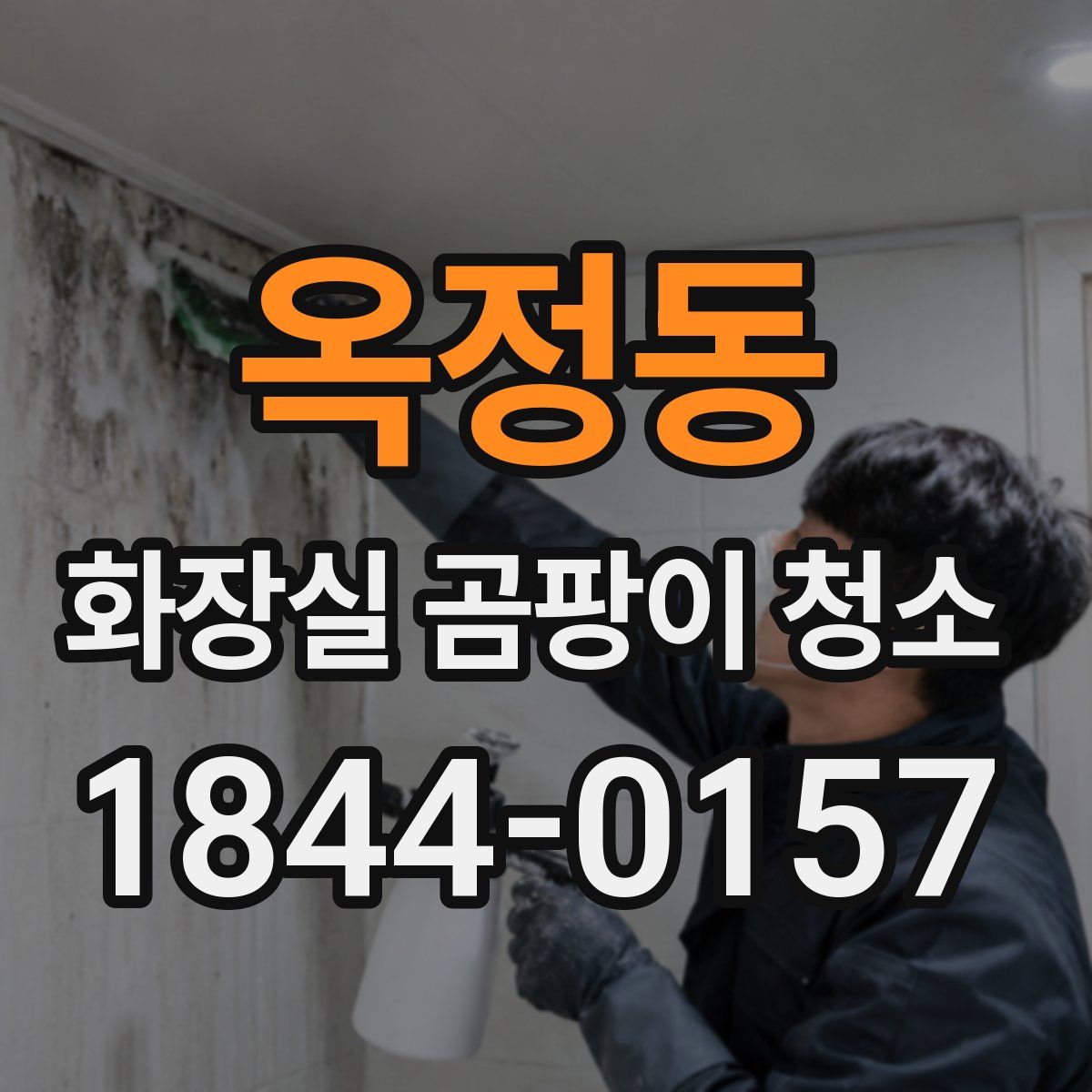 옥정동 화장실 곰팡이 청소