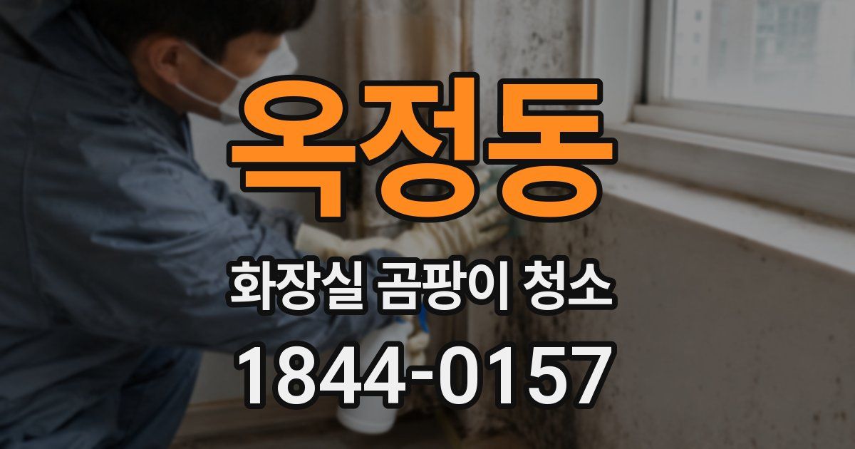 옥정동 화장실 곰팡이 청소