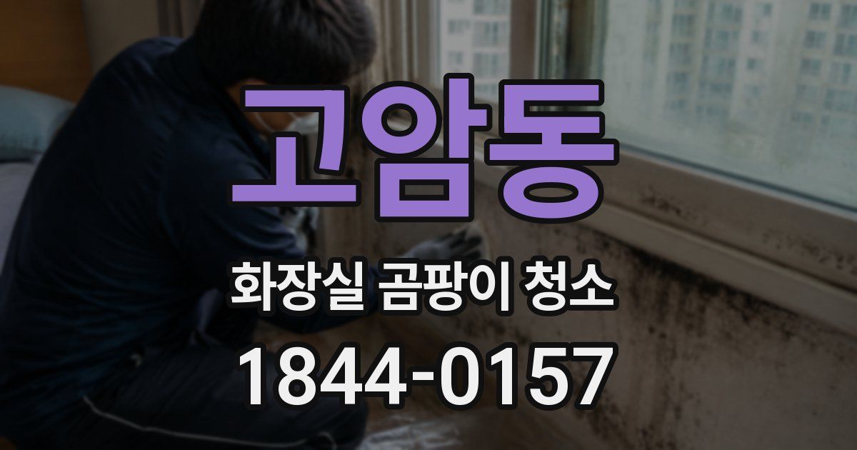 고암동 화장실 곰팡이 청소
