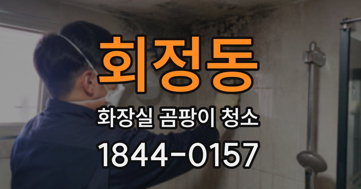 회정동 화장실 곰팡이 청소