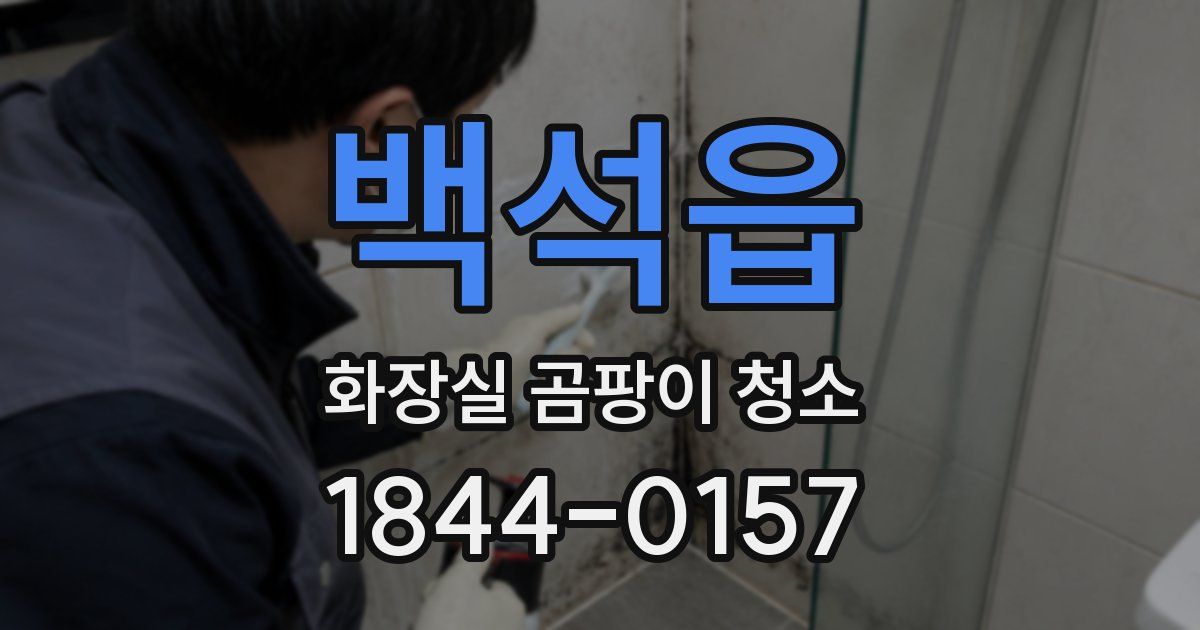 백석읍 화장실 곰팡이 청소