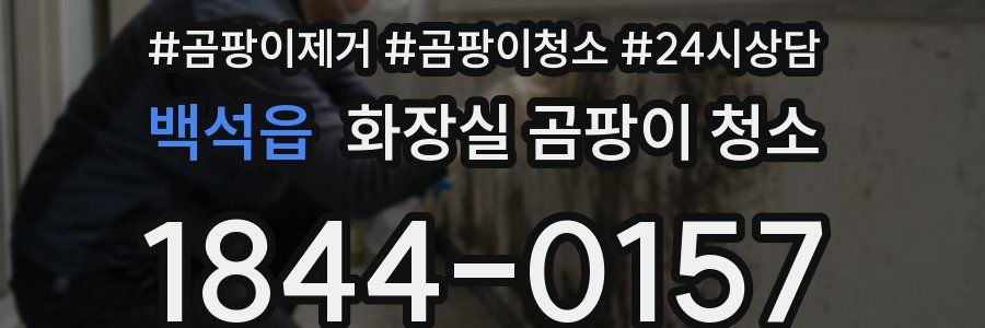 백석읍 화장실 곰팡이 청소