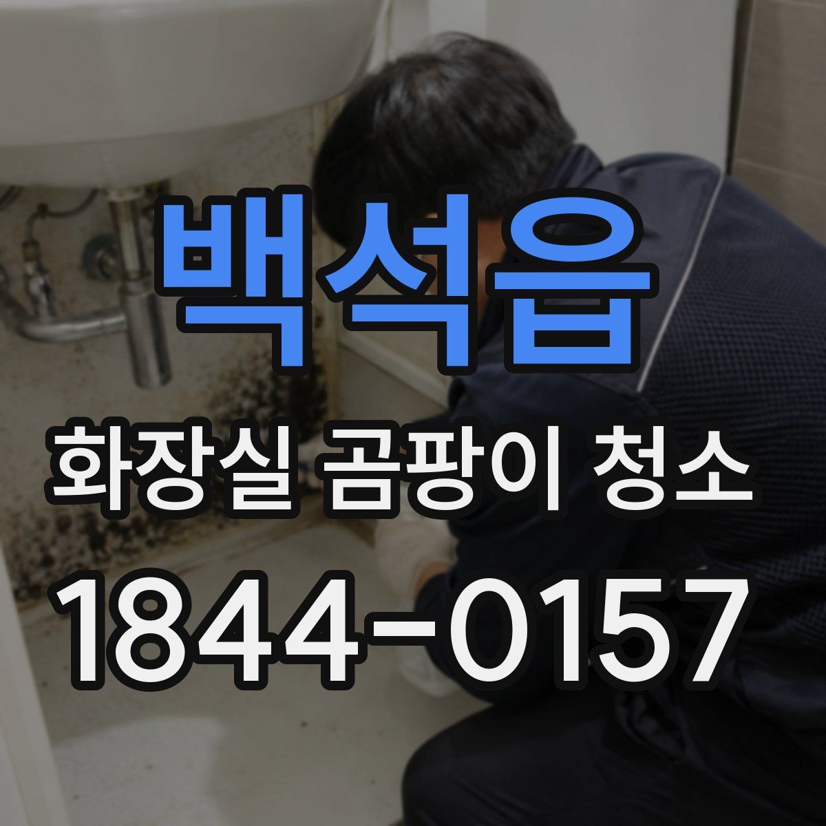 백석읍 화장실 곰팡이 청소