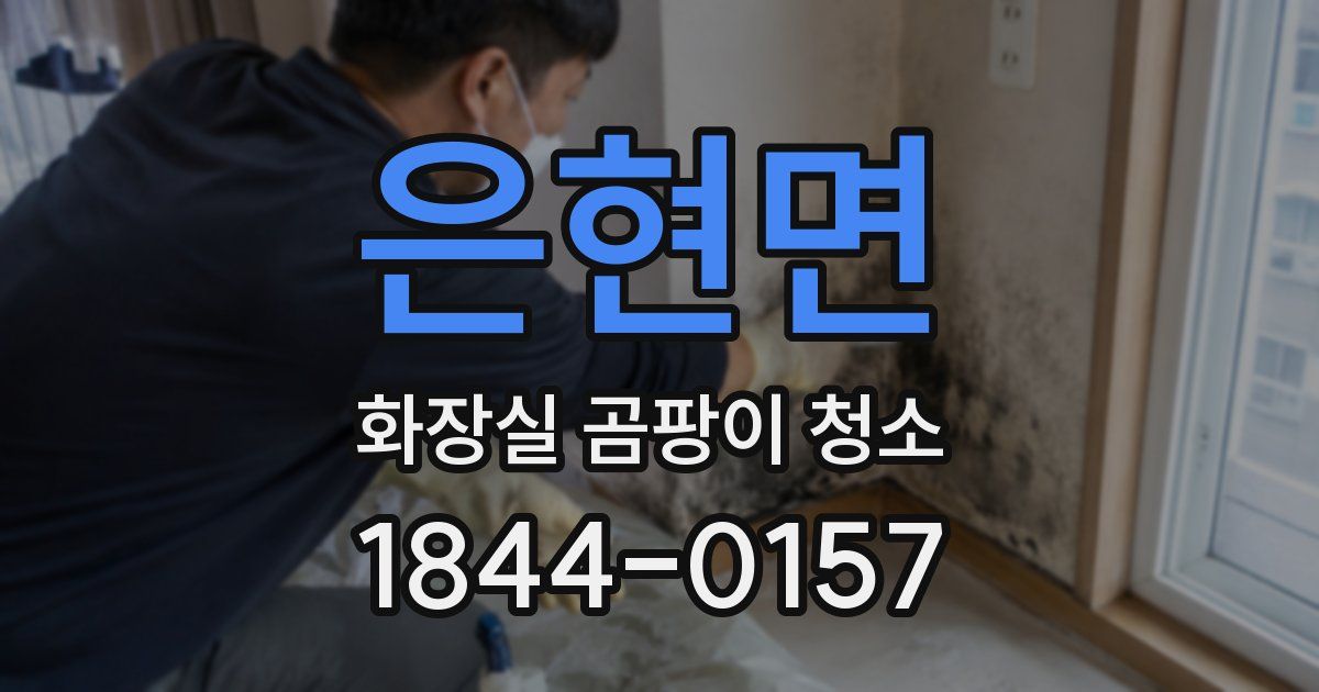 은현면 화장실 곰팡이 청소