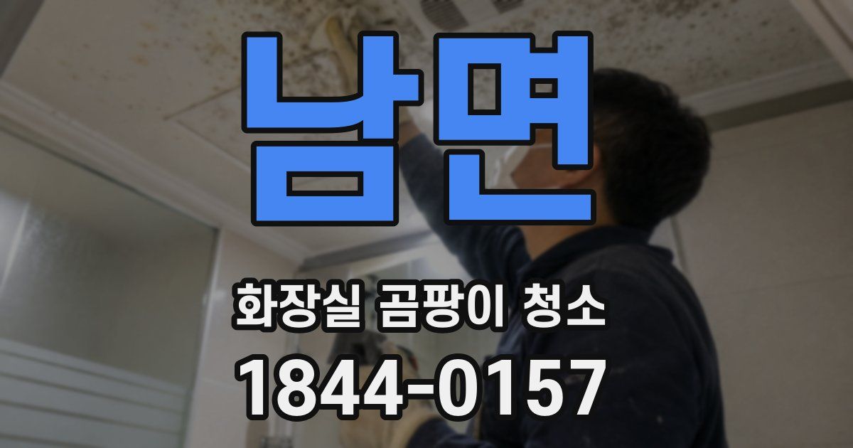남면 화장실 곰팡이 청소