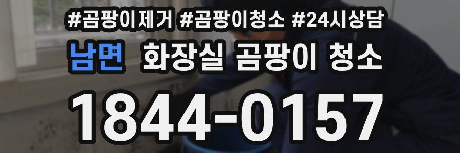 남면 화장실 곰팡이 청소