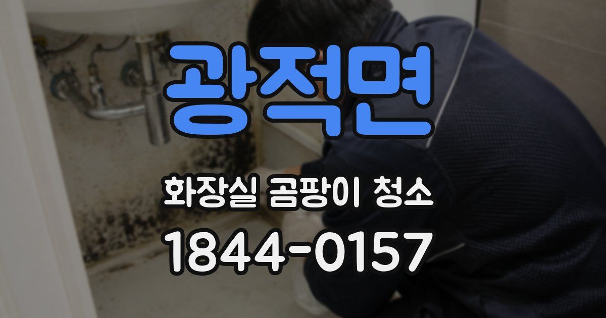 광적면 화장실 곰팡이 청소
