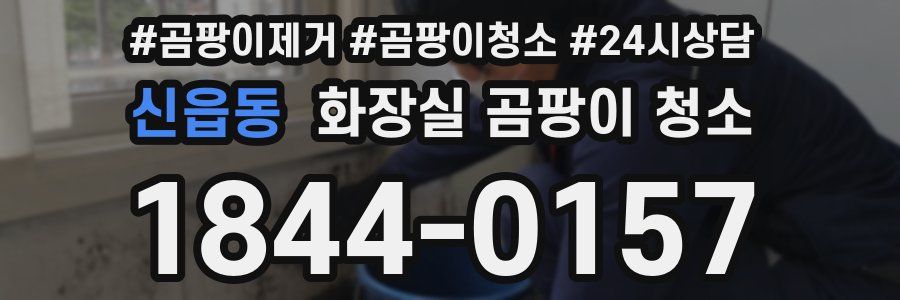 신읍동 화장실 곰팡이 청소