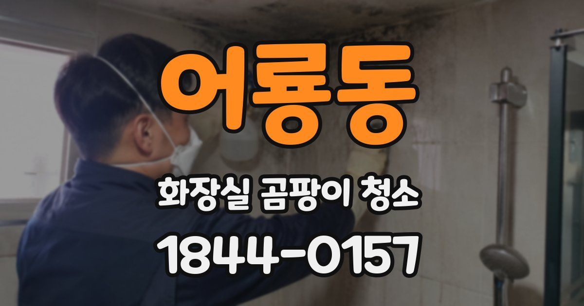 어룡동 화장실 곰팡이 청소