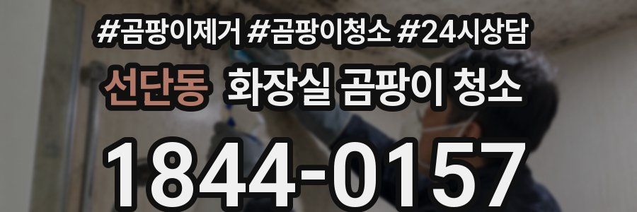 선단동 화장실 곰팡이 청소