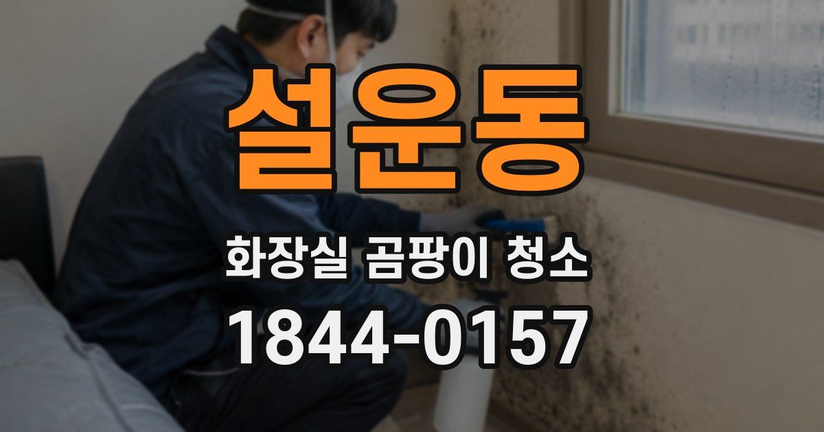 설운동 화장실 곰팡이 청소