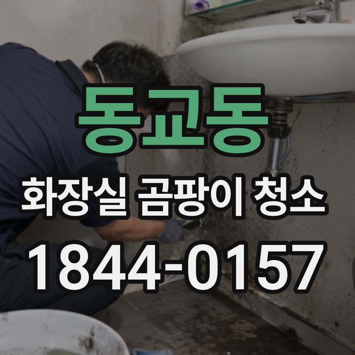 동교동 화장실 곰팡이 청소