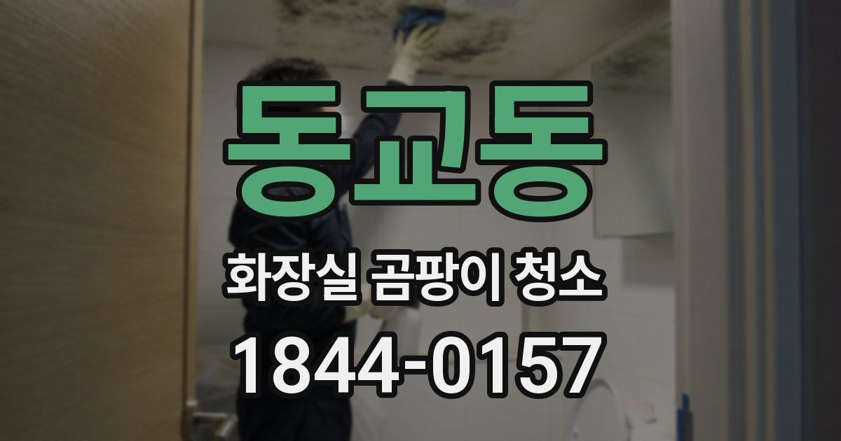 동교동 화장실 곰팡이 청소