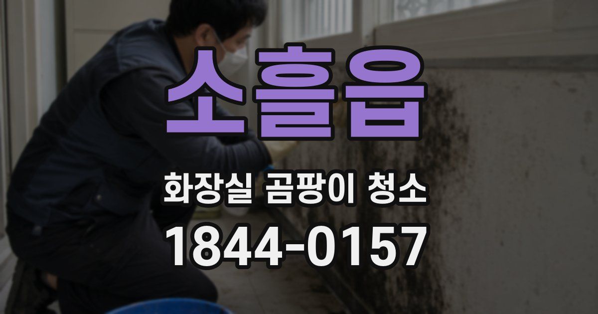 소흘읍 화장실 곰팡이 청소