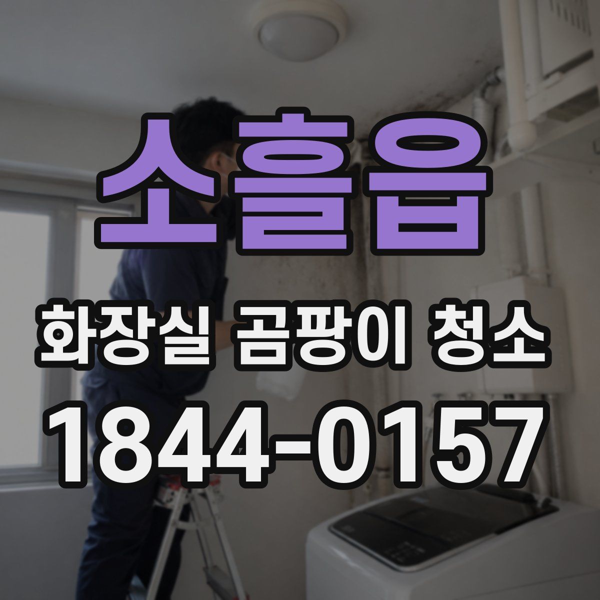 소흘읍 화장실 곰팡이 청소