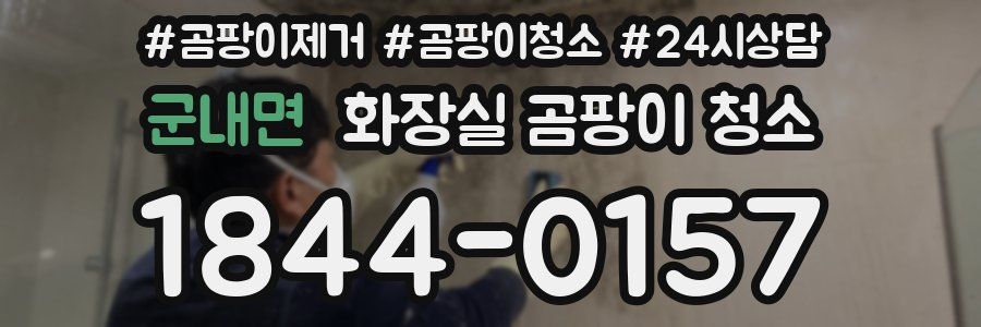 군내면 화장실 곰팡이 청소