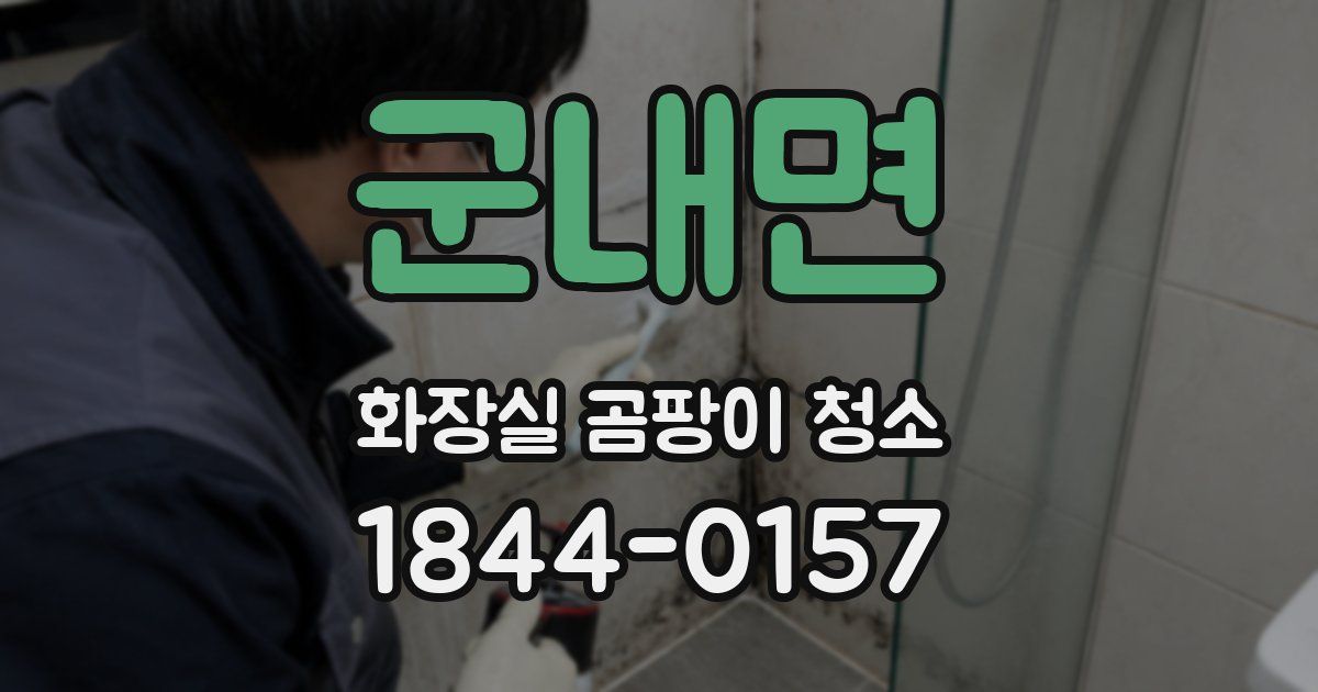 군내면 화장실 곰팡이 청소