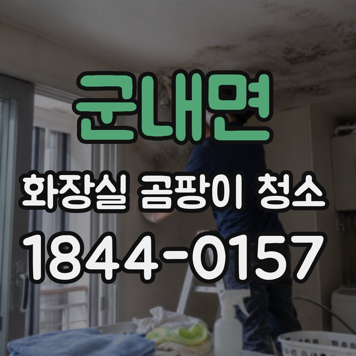 군내면 화장실 곰팡이 청소