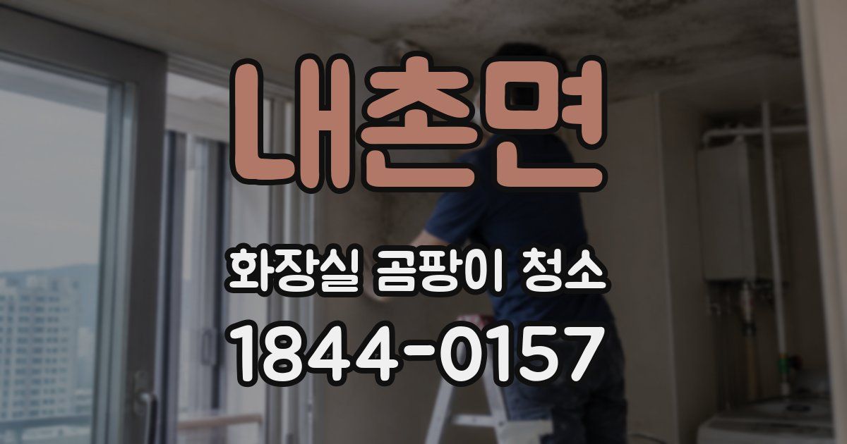 내촌면 화장실 곰팡이 청소