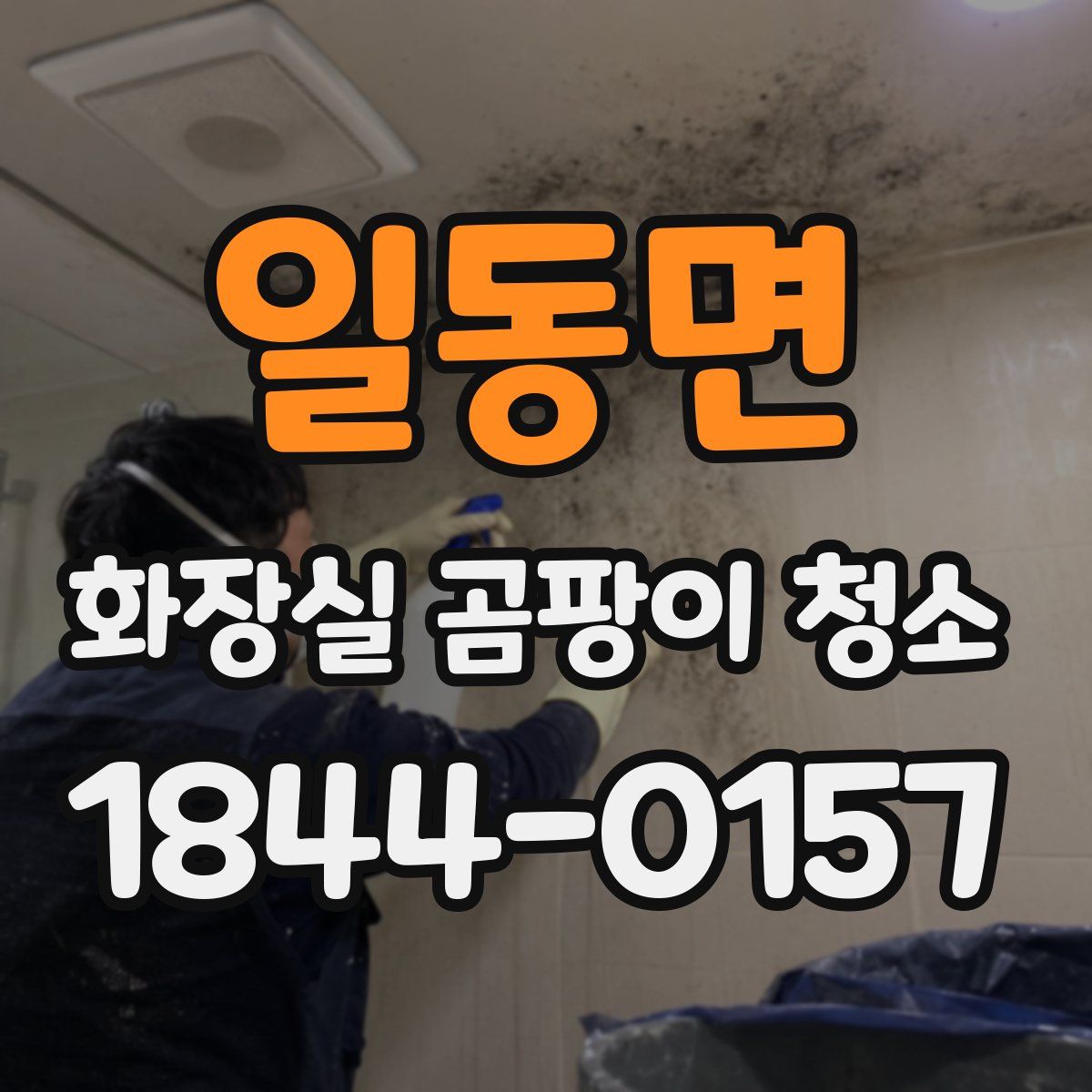 일동면 화장실 곰팡이 청소
