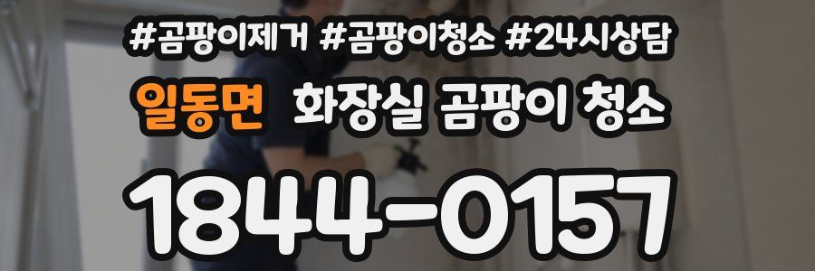 일동면 화장실 곰팡이 청소