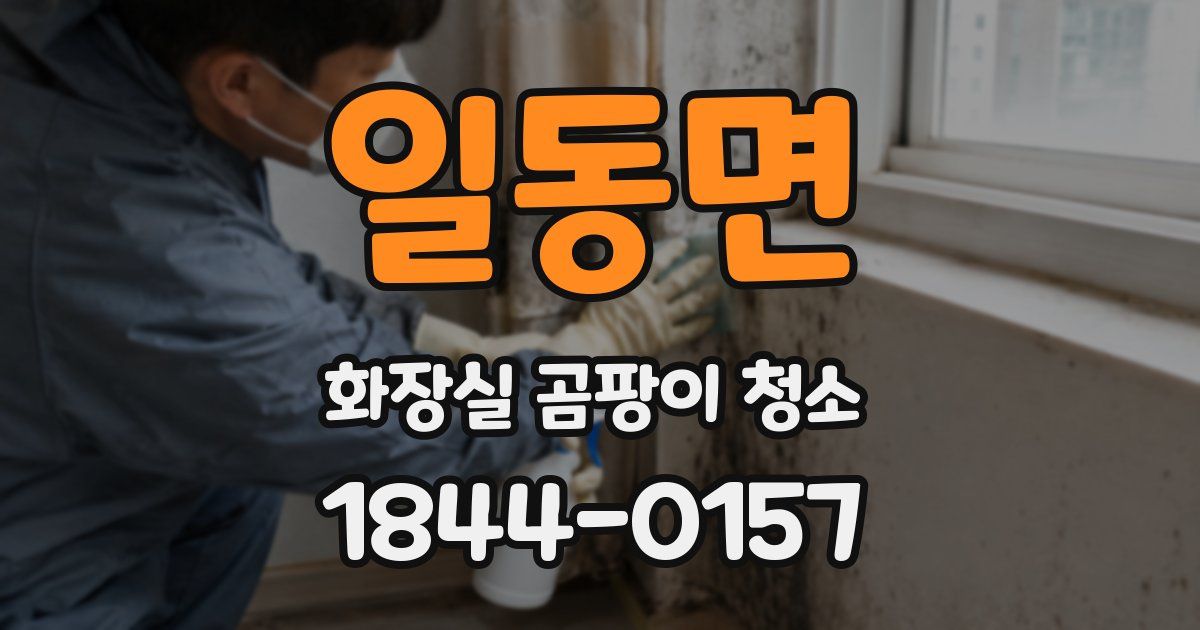 일동면 화장실 곰팡이 청소