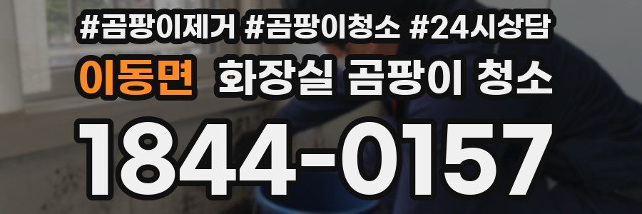 이동면 화장실 곰팡이 청소