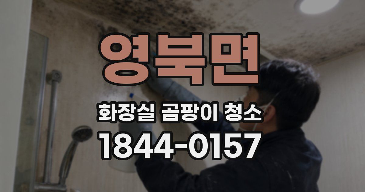 영북면 화장실 곰팡이 청소