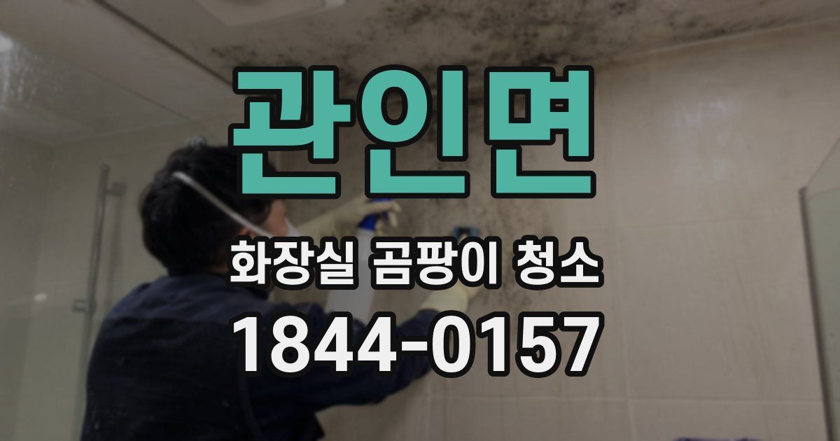 관인면 화장실 곰팡이 청소