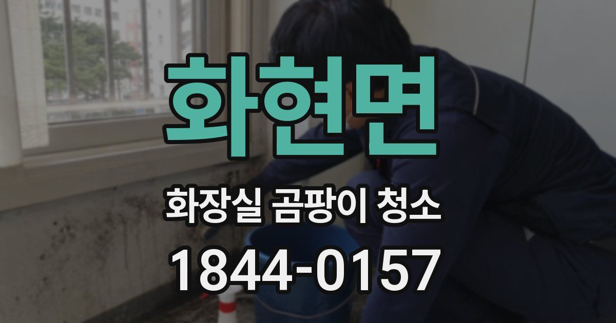화현면 화장실 곰팡이 청소
