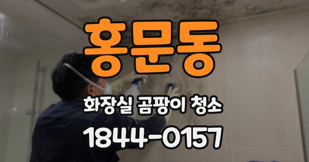 홍문동 화장실 곰팡이 청소